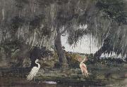 Winslow Homer, At Tampa (mk44)